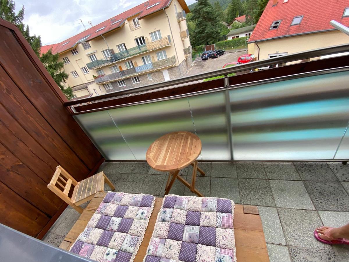 Apartman Slapy-Zdan Exterior photo